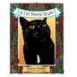 A Cat Named Spider - Hardcover