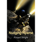 Nudging Nyame - Paperback