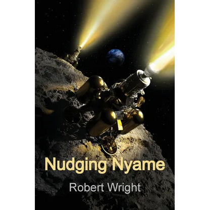 Nudging Nyame - Paperback
