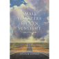 Small Disasters Seen in Sunlight - Paperback