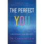 The Perfect You: A Blueprint for Identity - Paperback