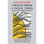 Twelve from a Taluk Town: Selected Short Stories - Paperback