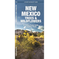 New Mexico Trees & Wildflowers: A Folding Pocket Guide to Familiar Plants
