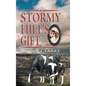 Stormy Hill's Gift - Hardcover