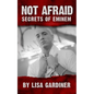 Not Afraid Secrets of Eminem: Birth to 2019 - Paperback