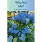 Why Not Me? - Paperback