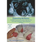 Expecting Multiples: The MOST Comprehensive Guide to High-risk Twin & All Triplet, Quadruplet or More Pregnancies 2nd Edition - Paperback