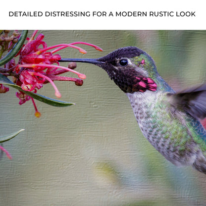 Hummingbird Spring Canvas Wall Art