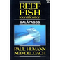 Reef Fish Identification Galapagos - Paperback