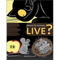Where Do Animals Live? - Board Book