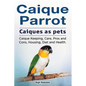Caique parrot. Caiques as pets. Caique Keeping, Care, Pros and Cons, Housing, Diet and Health. - Paperback