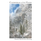 Cathedral of the Hand - Paperback