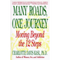 Many Roads One Journey: Moving Beyond the Twelve Steps - Paperback