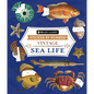 Brain Games - Sticker by Number - Vintage: Sea Life (28 Images to Sticker) - Paperback