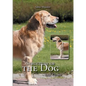 Structure of the Dog: Basic Course - Paperback