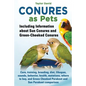 Conures as Pets - Including Information about Sun Conures and Green-Cheeked Conures - Paperback