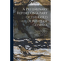 A Preliminary Report On a Part of the Gold Deposits of Georgia - Paperback