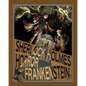 Sherlock Holmes and the Horror of Frankenstein - Paperback