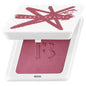 Fenty Cheeks Suede: Waterproof Powder Blush - Long-Lasting, High-Pigment, Sweat & Humidity Resistant - Matte & Shimmer Finishes