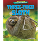 Three-Toed Sloth - Library Binding