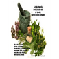 Using Herbs For Medicine: Easy To follow Directions On How To Use Herbs For Medicine - Paperback