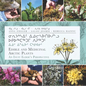 Edible and Medicinal Arctic Plants: An Inuit Elder's Perspective - Paperback
