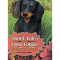 Short Tales of a Long Doggie: Buddy Takes a Walk - Hardcover
