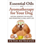 Essential Oils and Aromatherapy for Your Dog: Natural Remedies for Healing and Promoting a Long, Happy Life - Paperback