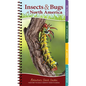 Insects & Bugs of North America: Your Way to Easily Identify Insects & Bugs - Spiral