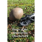 Dance of the Third-string Quarterback - Paperback