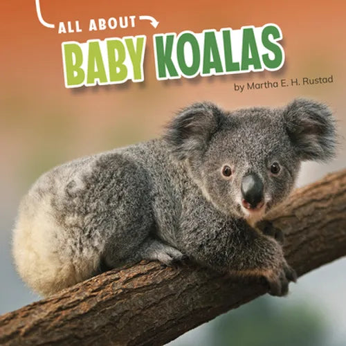 All about Baby Koalas - Hardcover