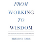 From Working To Wisdom: The Adventures And Dreams Of Older Americans - Paperback