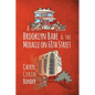 A Brooklyn Babe & the Miracle on 68th Street - Paperback