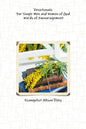 Devotionals for Single Men and Women of God! Words of Encouragement. - Paperback
