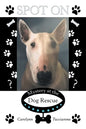 Spot On: Mystery at the Dog Rescue - Paperback