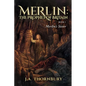 Merlin's Sister - Paperback