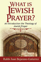 What is Jewish Prayer?: An Introduction the Theology of Jewish Prayer - Paperback
