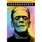 Frankenstein - Fantasy Illustrated Edition - Paperback