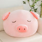 Lazy Sofa Plush Large Throw Pillow