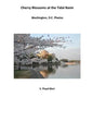 Cherry Blossoms at The Tidal Basin: Washington, D.C. Photos - Paperback