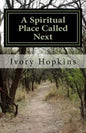 A Spiritual Place Called Next: The place you go to when things don't turn out the way you thought - Paperback