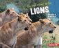 On the Hunt with Lions - Library Binding