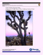 Visitor Vehicle Emissions Study: Comparison of Traffic Data at Three California National Parks- Final Report - Paperback