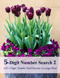 5-Digit Number Search 2: 120 5-Digit Number Find Puzzles in Large Print - Paperback
