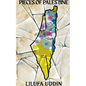Pieces of Palestine: a collection of poems - Paperback