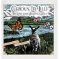 Curious Li'l Lilli: The Lamb with Amazing Grace - Hardcover