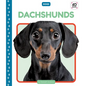 Dachshunds - Library Binding