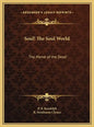 Soul! The Soul World: The Home of the Dead - Hardcover