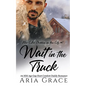 Wait in the Truck: An MM Age Gap Daddy Romance - Paperback
