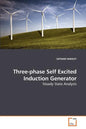 Three-phase Self Excited Induction Generator - Paperback